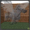 Ghost Pegasus