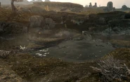 FetidPondGroundview