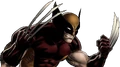 Wolverine Dialogue 2.png