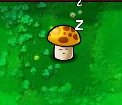 SleepingSun-shroom.png (28 KB) SleepingSun-shroom