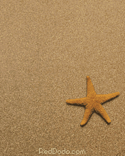 Sand.ar