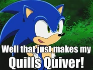 Quills