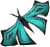 Blue soporith moth detail