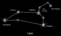 Leo black