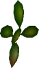 SpeedSquare-Coaster-ffvii-cactus2