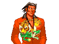 Tigre Confident 2