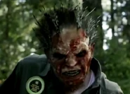 http://grimm.wikia.com/wiki/User:Roacher27/My_Own_Wesen#W.C3
