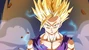 Gohan.jpg