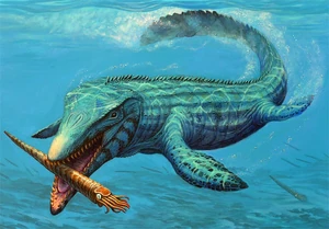 C mosasaur