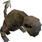 Barb-tailed kebbit