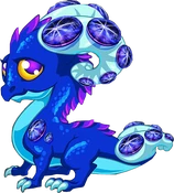SapphireDragonAdult