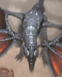 Skullash FFXII