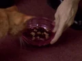 Feline supplement 221.jpg