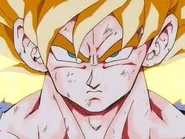 Ssj1