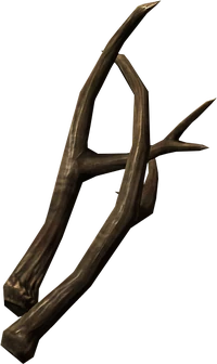 Small antlers