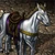 Sleipnir