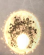 Gnoma Entite FFXII