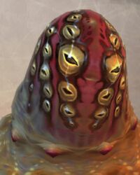 Hecteyes FFXII
