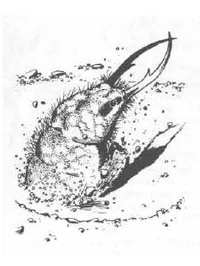 D&D Ant lion