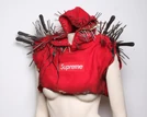 Gagaxterry