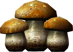 Imp stool