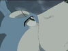Gin eye