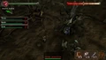 Woodguardian