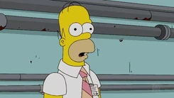 Homer Simpson 4