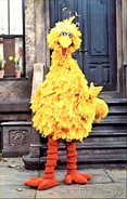 BigBird1972-1976