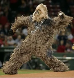 Wookie