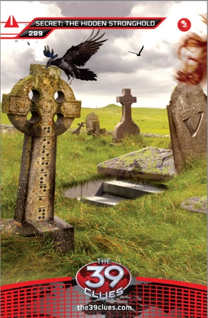 Card289