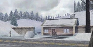 Assault on the cabin
