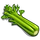 Celery-icon