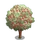 Peumo Tree-icon