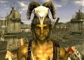 Driver Nephi.jpg