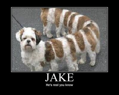 Jakeisreal