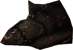 Shell bug chitin