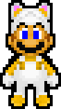 INVINCIBLE RACCOON MARIO