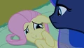 Fluttershy 'Perfect, lesson over' S2E4.png