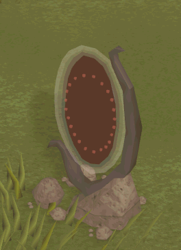 Meeting His Portal of Life