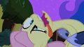 Derpyshy S02E04.png
