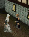 Monster Examine.gif