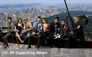 Csinysupportingactors