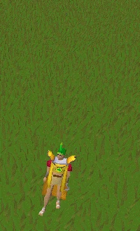 Summoning emote old