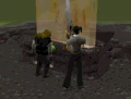 Zanik Strange Box.gif