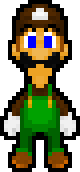EARTH LUIGI