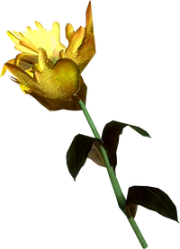 Yellow mountain flower