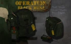Satchel Source Model