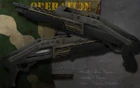 Shotgun