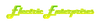 Electric Enterprises